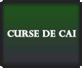 Curse de cai Curse de cai